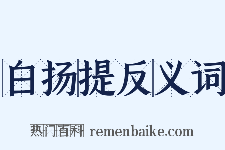 白扬提反义词是什么意思的图片
